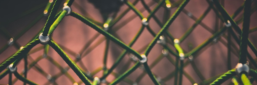 Network assessment blog feature image